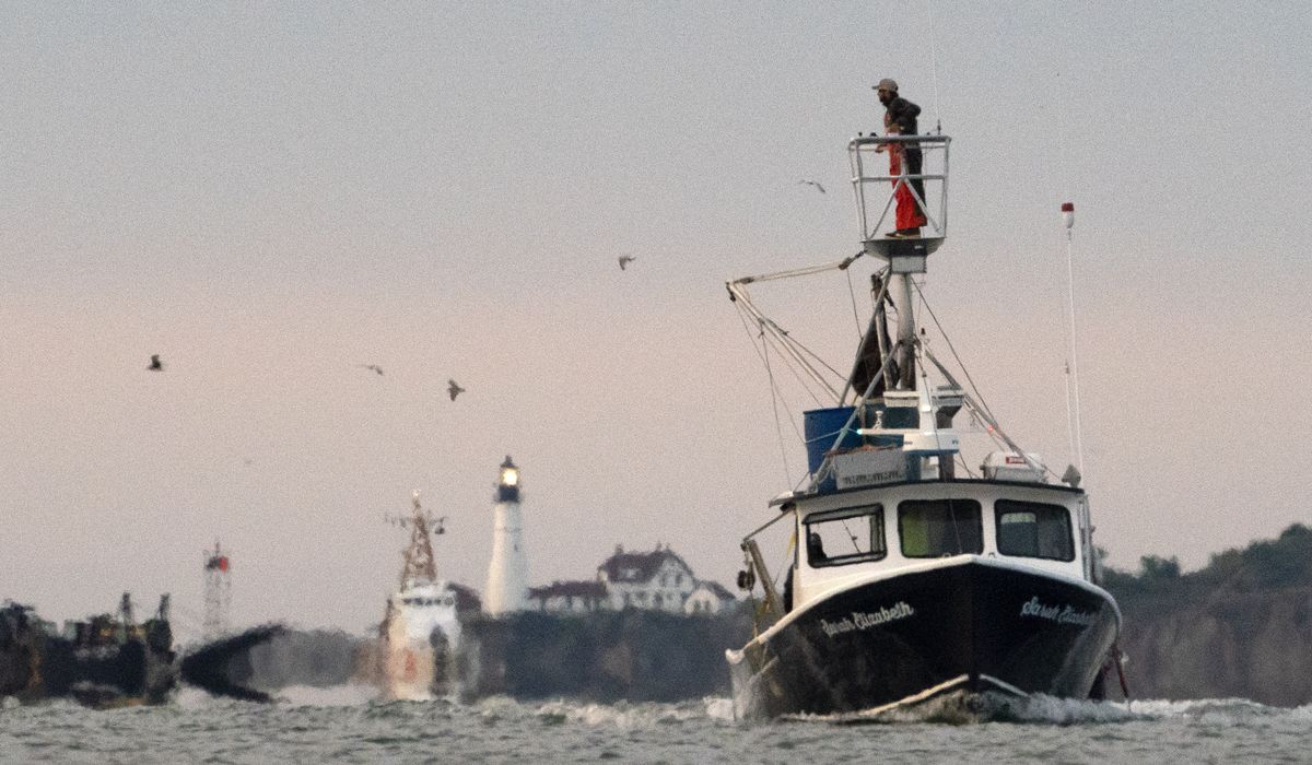 NextImg:Driver in sinking, stolen car saved from drowning by Maine lobsterman