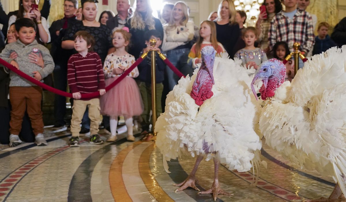 NextImg:Biden spending his 81st birthday honoring White House tradition of pardoning Thanksgiving turkeys