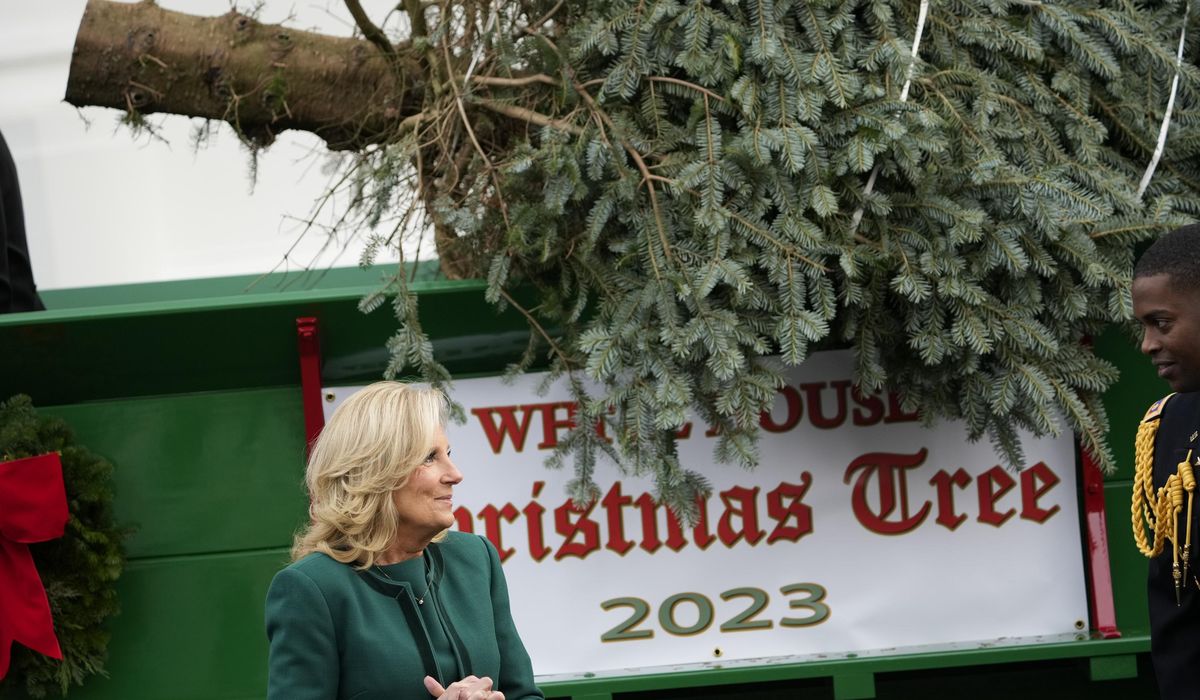 NextImg:Jill Biden says White House decor designed for visitors to see the holidays through a child’s eyes