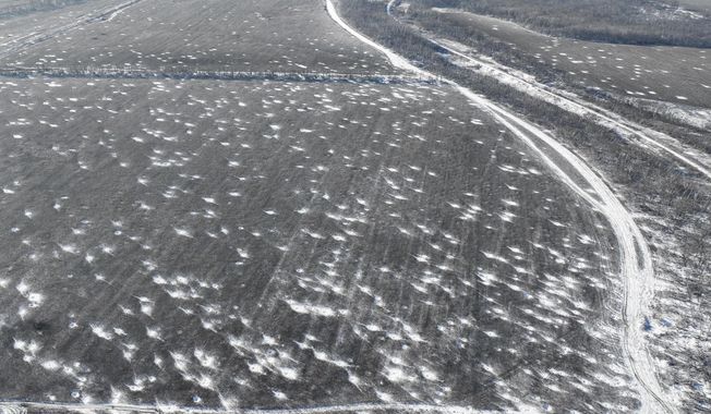 An aerial view of the multiple craters left by shelling in a field on the frontline close to Bakhmut, Donetsk region, Ukraine, Wednesday, Nov. 22, 2023. (AP Photo/Alex Babenko)