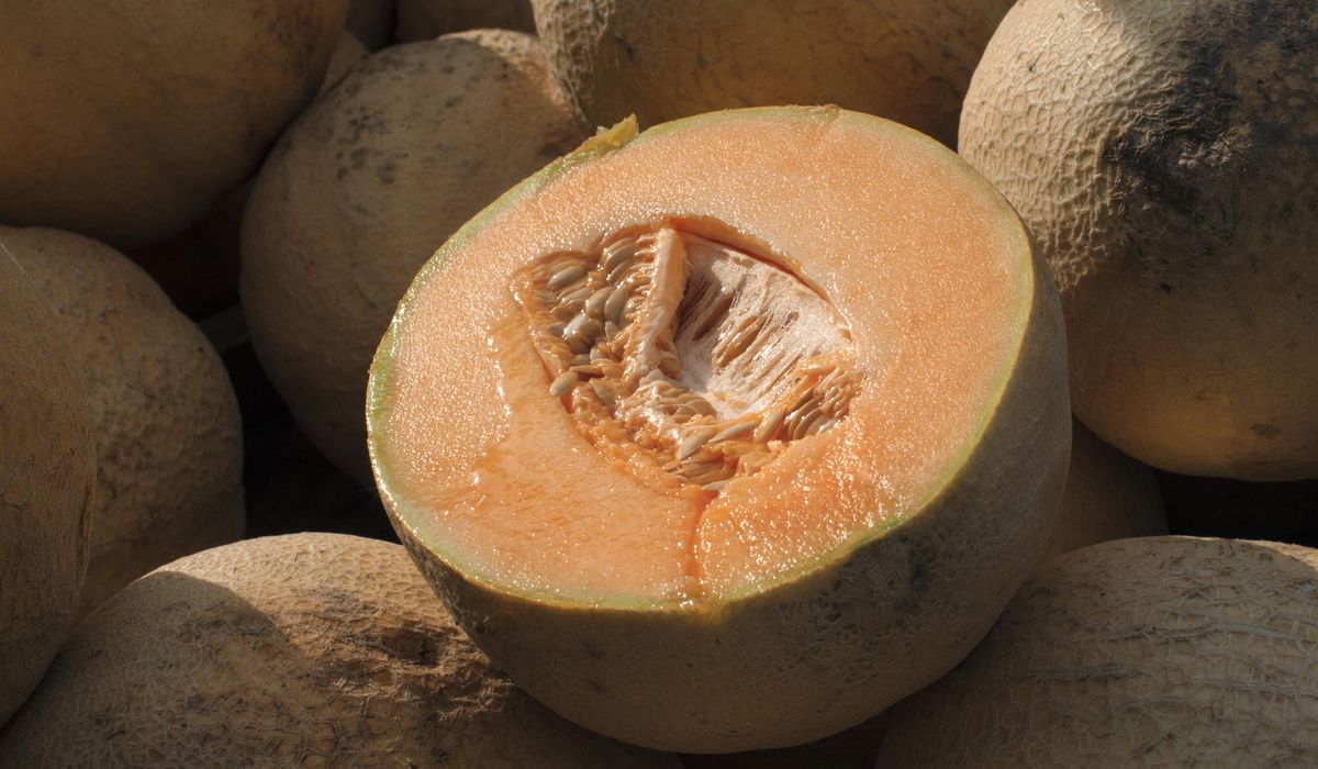 NextImg:FDA expands cantaloupe recall after salmonella infections double in a week