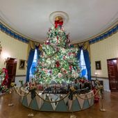 The official White House Christmas Tree, an 18陆 foot Fraser fir from Fleetwood, North Carolina, can be seen in the Blue Room. Click on https://www.whitehouse.gov/holidays-2023/ to see the rest of the decorations. (Image: White House)