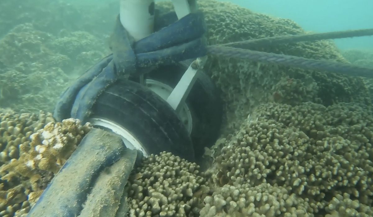 NextImg:Underwater video shows U.S. Navy plane’s tires touching a coral reef in Hawaii bay