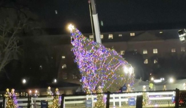 In this image made from video, the National Christmas Tree hangs from a crane in front of the White House as a crew works to lift it back up after it fell, Tuesday, Nov. 28, 2023, amid high winter winds. (AP Video)