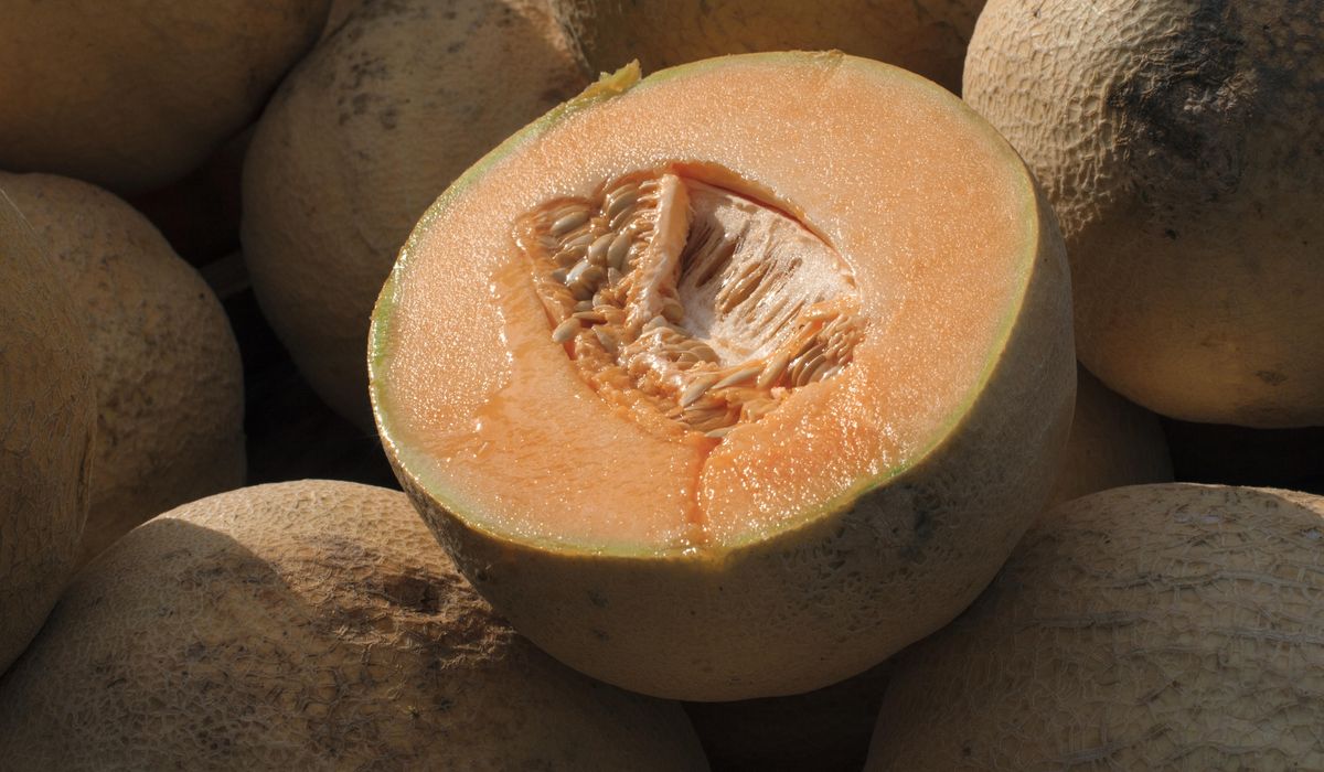 NextImg:Don’t eat pre-cut cantaloupe if the source is unknown, CDC says, as deadly salmonella outbreak grows