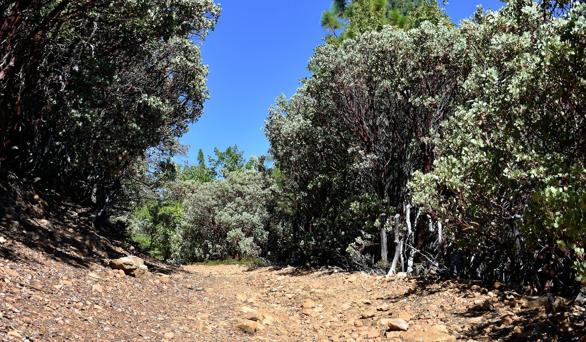 NextImg:Michigan woman who disappeared while hiking in California found dead