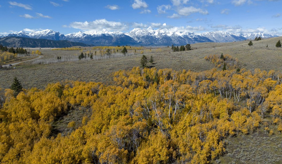 NextImg:Wyoming may auction off huge piece of pristine land inside Grand Teton