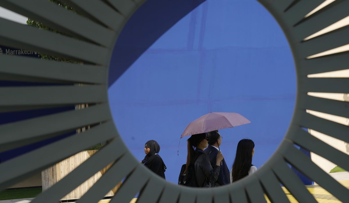 NextImg:Observers see OPEC ‘panicking’ as COP28 climate talks focus on possible fossil fuel phase-out