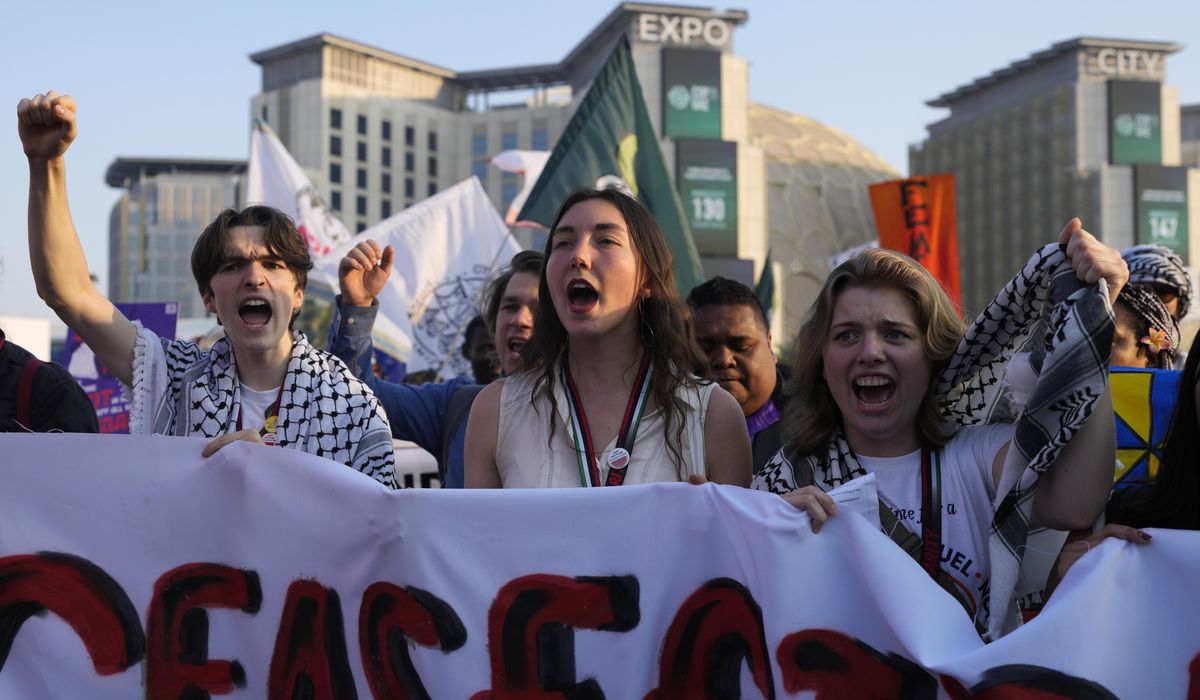 NextImg:Protests at UN climate talks, from Israel-Hamas war to detainees, see ‘shocking level of censorship’