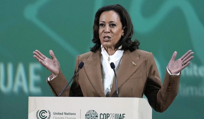 Vice President Kamala Harris speaks at the COP28 U.N. Climate Summit, Saturday, Dec. 2, 2023, in Dubai, United Arab Emirates. (AP Photo/Kamran Jebreili, File)