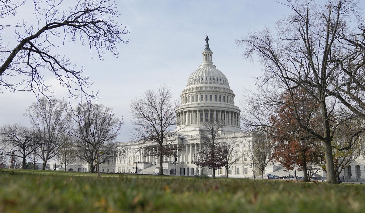 NextImg:Man arrested with machete at Capitol is illegal immigrant freed by Biden