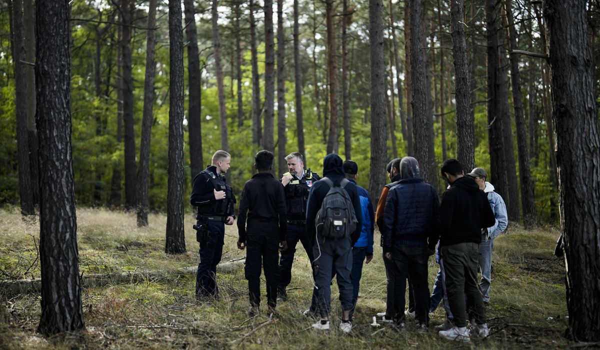 NextImg:EU hails a migration deal breakthrough after years of talks. Critics worry about rights abuses