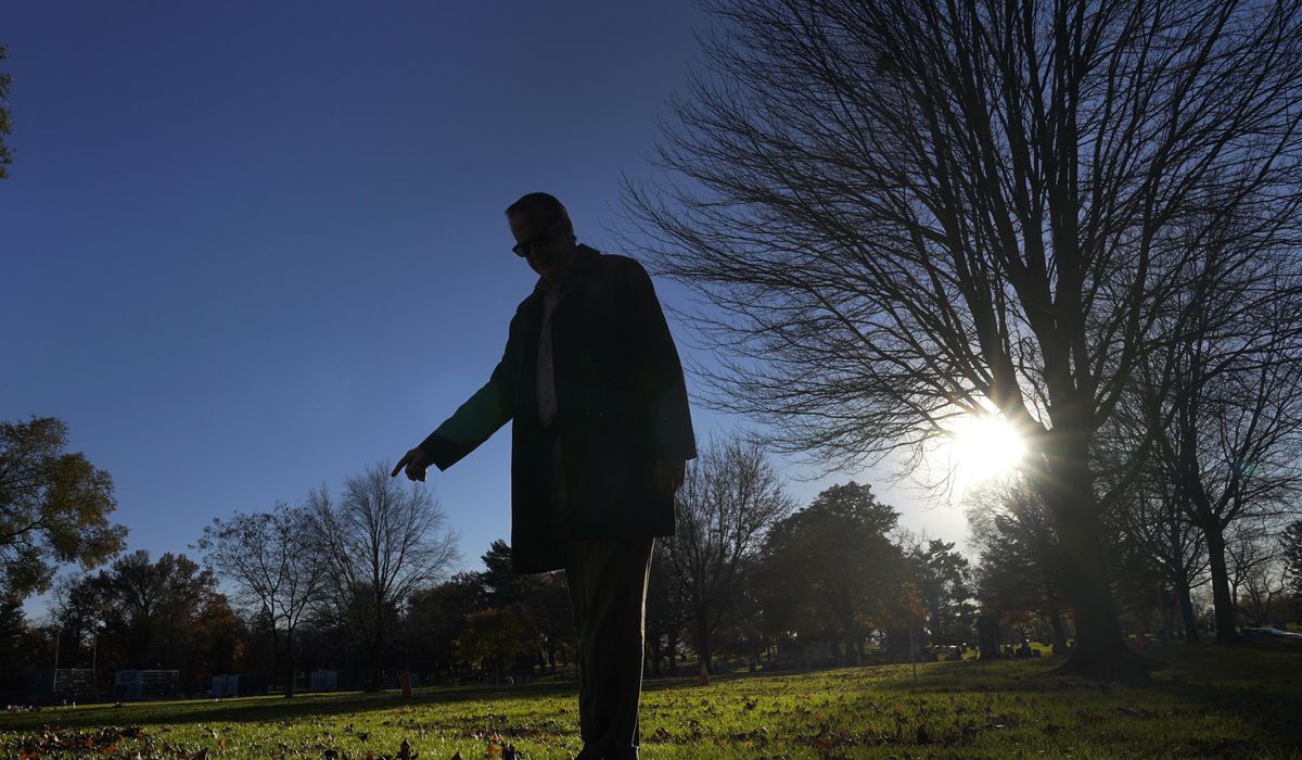 NextImg:A missing person with no memory: How investigators solved the cold case of Seven Doe