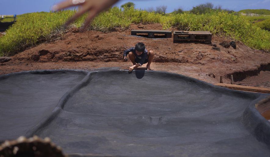 Kekanemekala Taniguchi, son of Tina Taniguchi, smooths wet black clay onto the wall of a salt bed in the Hanapepe salt patch on Wednesday, July 12, 2023, in Hanapepe, Hawaii. 22 Native Hawaiian families work the beds each summer to make "paakai," or Hawaiian salt, which can only be given away or traded, not sold. (AP Photo/Jessie Wardarski)