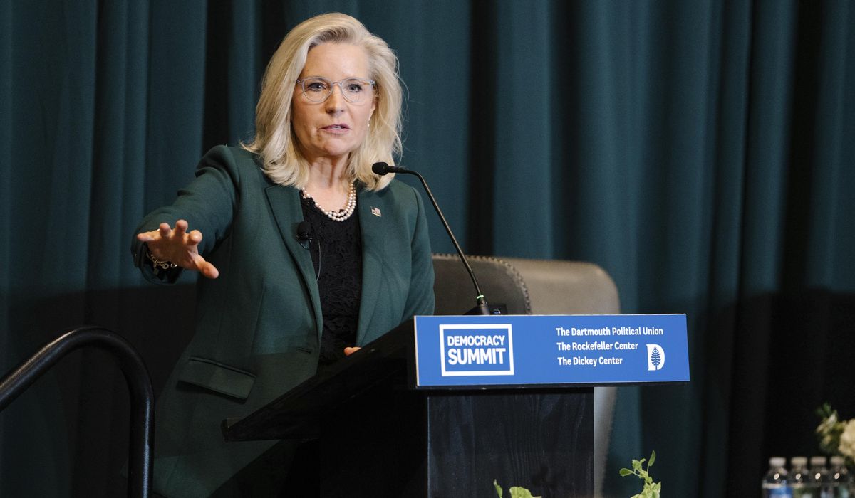 NextImg:Liz Cheney says House Speaker Mike Johnson should pass Ukraine aid even if it means losing gavel