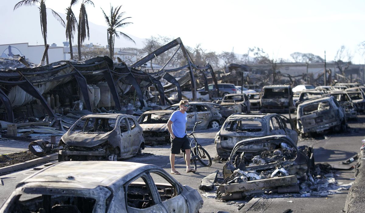 NextImg:Hawaii officials announce new evacuation routes to be built in aftermath of Maui fire