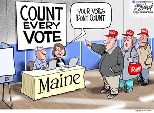Your votes don&#x27;t count.