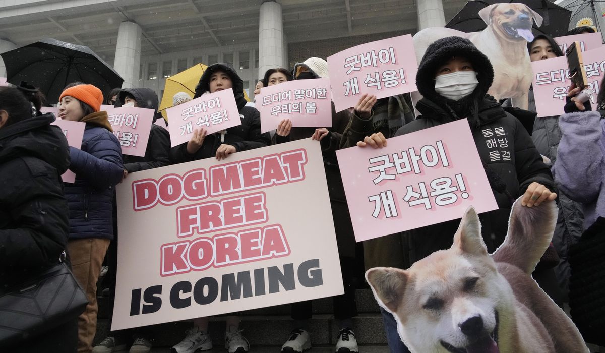 NextImg:South Korea abolishes consumption of dog meat, while North hails the practice