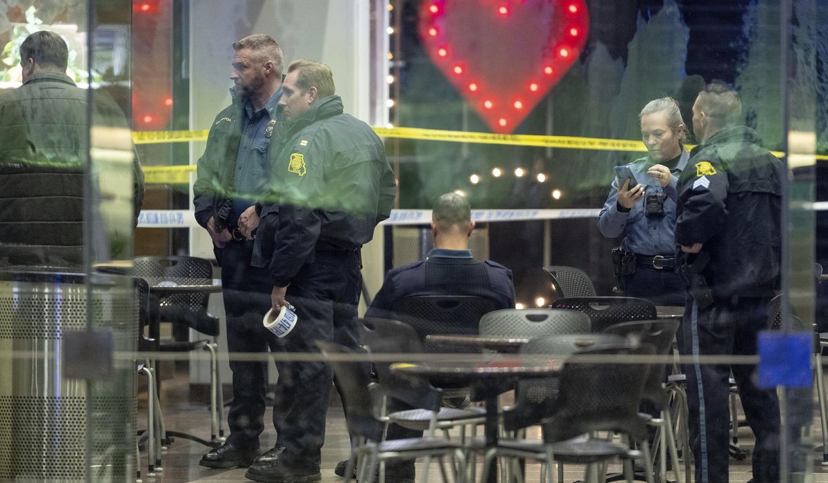 NextImg:Shooting inside popular mall in Kansas City, Missouri, injures 6