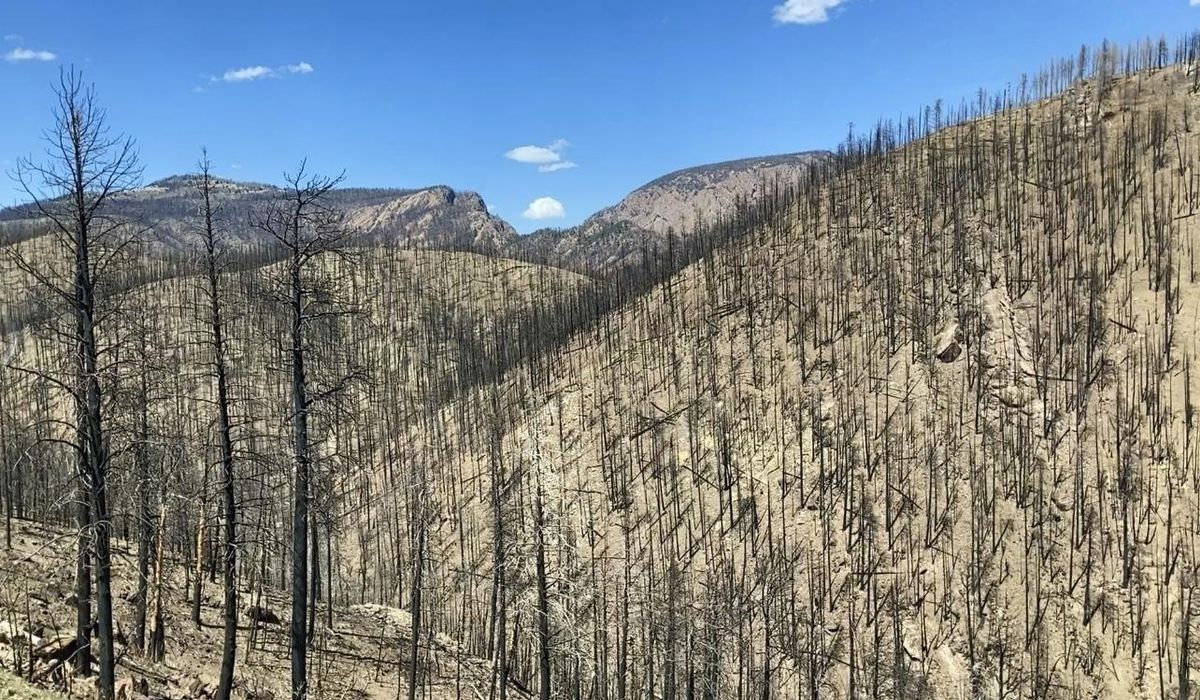 NextImg:FEMA official who was criticized over aid delays after huge New Mexico fire is changing jobs