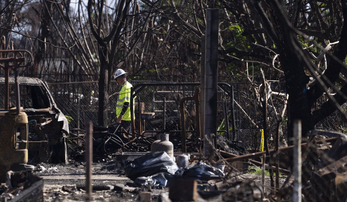 NextImg:911 calls from Maui capture pleas for the stranded, the missing and those caught in the fire’s chaos