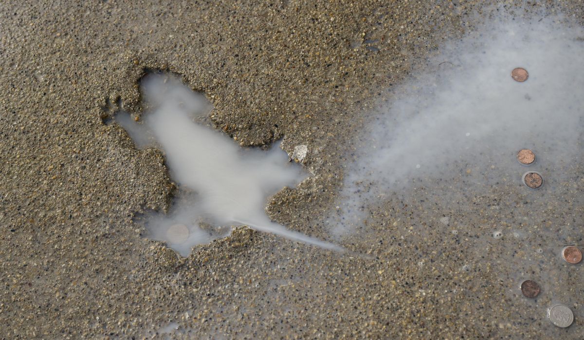 NextImg:Dirty rat! Culprit fills in Chicago neighborhood landmark known as the ‘rat hole’