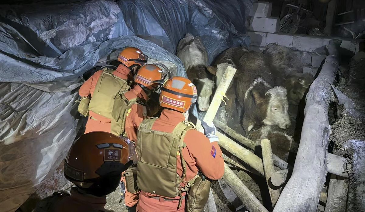 NextImg:7.1 magnitude quake rattles western China, killing at least 3 people and collapsing 47 homes