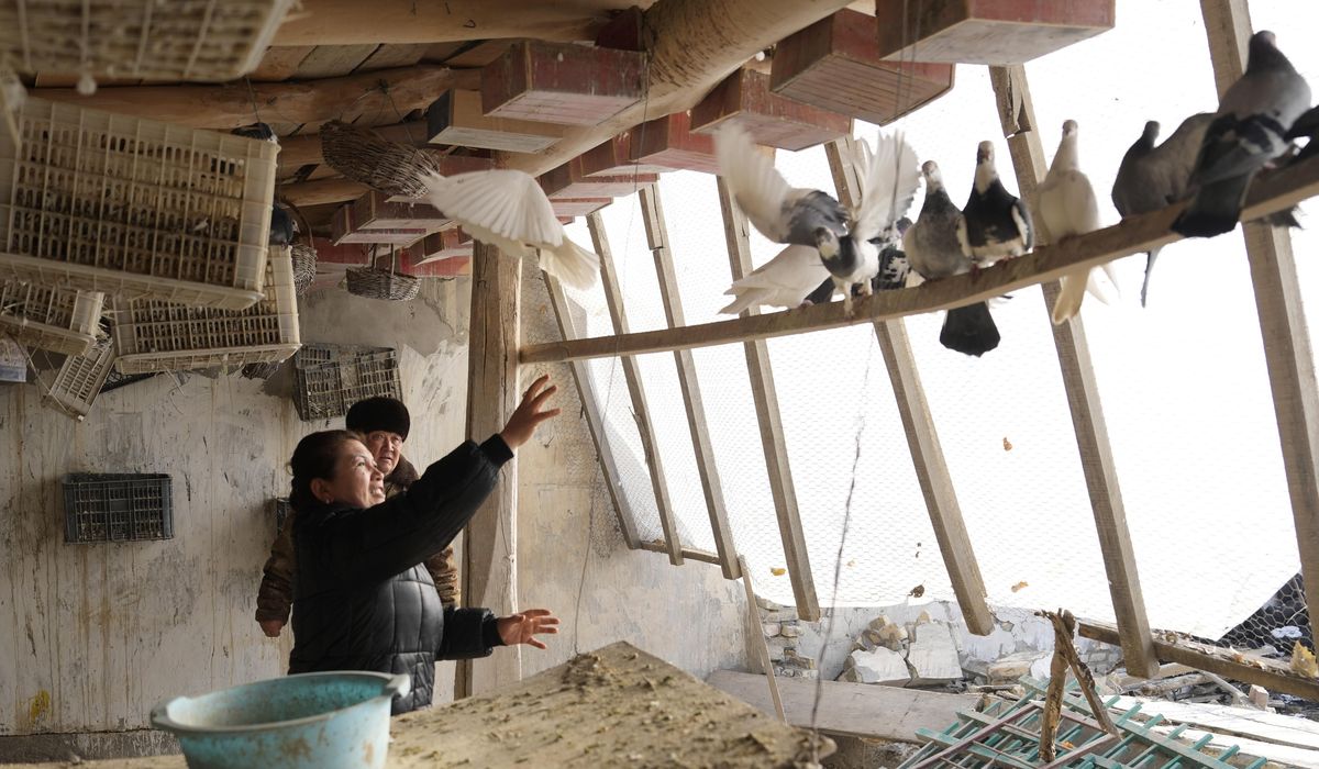 NextImg:Thousands of people are forced out of their homes after 7.1 quake in western China