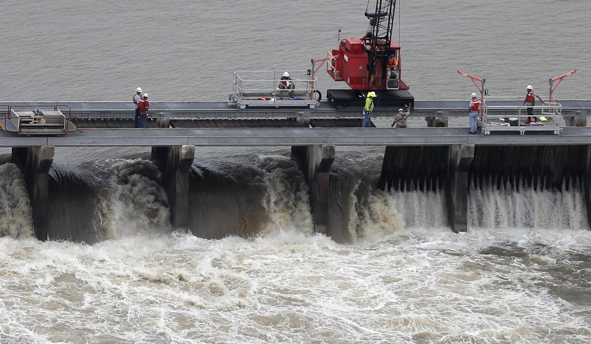 NextImg:Lawsuit seeks to protect dolphins by limiting use of flood-control spillway near New Orleans