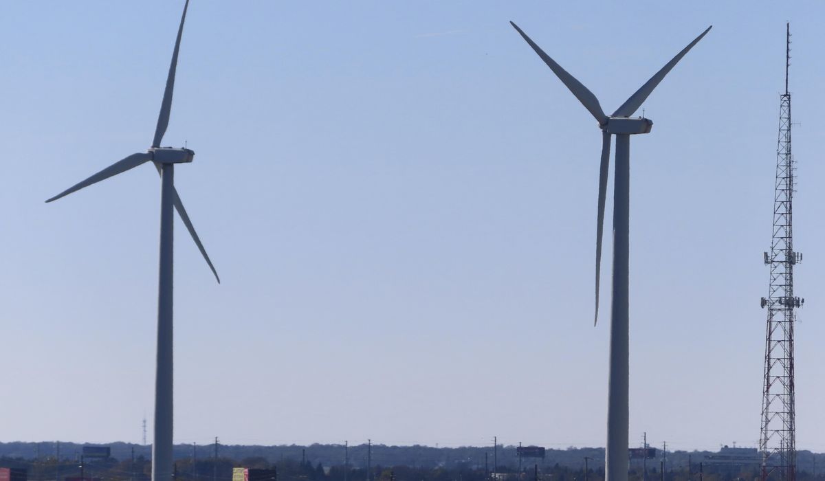 NextImg:U.S. agencies set plans to protect endangered right whales during offshore wind operations