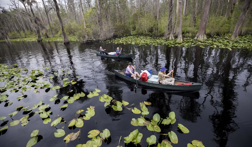 FILE - A group of visitors return to Stephen C. Foster State Park after an overnight camping trip on the Red Trail in the Okefenokee National Wildlife Refuge, April 6, 2022, in Fargo, Ga. Twin Pines Minerals, the company seeking permits to mine minerals near the edge of the Okefenokee Swamp and its vast wildlife refuge, agreed Tuesday, Jan. 23, 2024, to pay a $20,000 fine to Georgia environmental regulators, who say the company violated state laws while collecting soil samples for its permit application. (AP Photo/Stephen B. Morton, File)