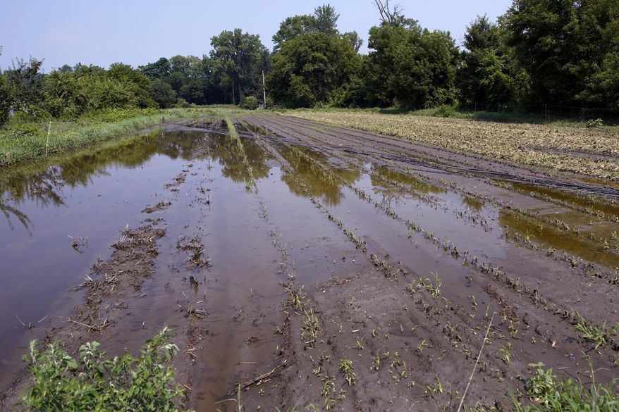 Flood waters remain on the destroyed fields at the Intervale Community Farm, July 17, 2023, in Burlington, Vt. Legislation introduced in December 2023 by Vermont U.S. Sens. Peter Welch and Bernie Sanders, and senators from Massachusetts, aims to create an insurance program better suited to small produce farms facing losses from the more frequent extreme weather. (AP Photo/Charles Krupa, File)