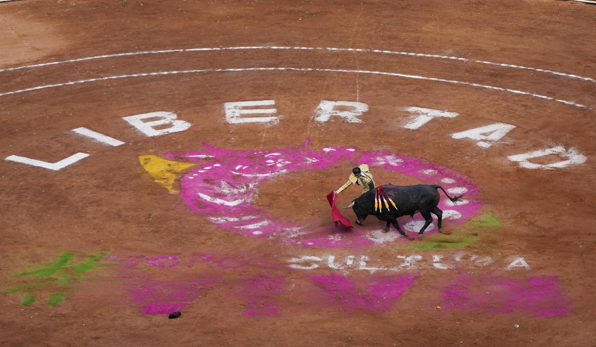 NextImg:Bullfighting resumes in Mexico City before a full crowd while activists protest outside