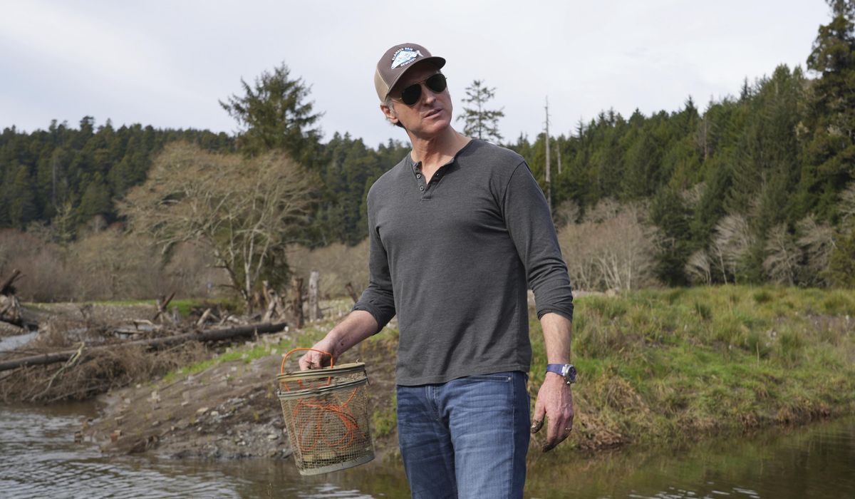 NextImg:California Gov. Gavin Newsom backs dam removal projects aimed at sustaining salmon populations