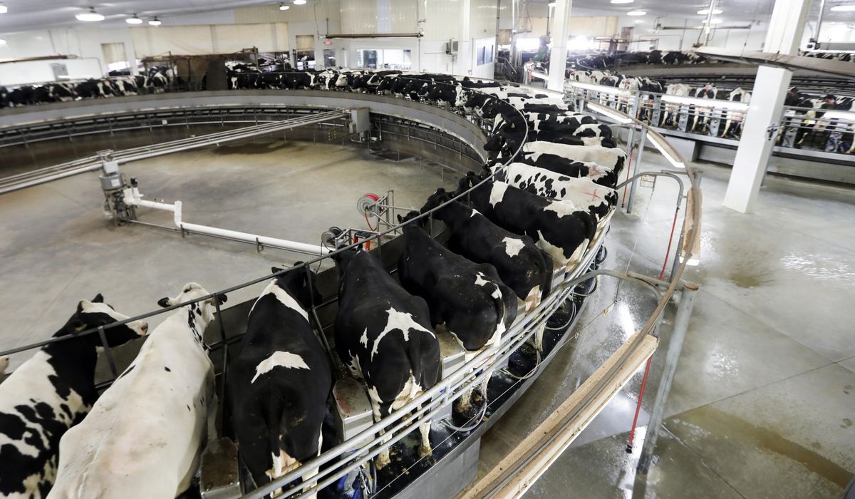 NextImg:Wisconsin judge affirms regulators can force factory farms to get preemptive pollution permits