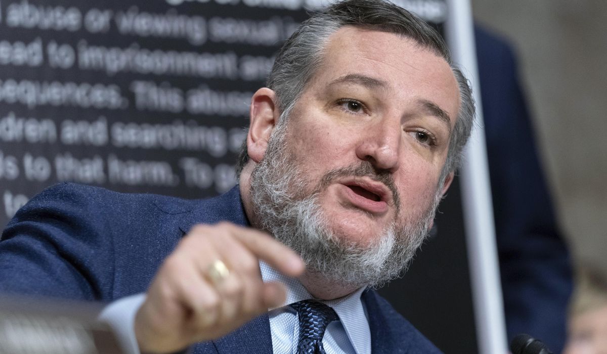 NextImg:Sen. Cruz calls for ban on air marshals at border unless Mayorkas admits to crisis