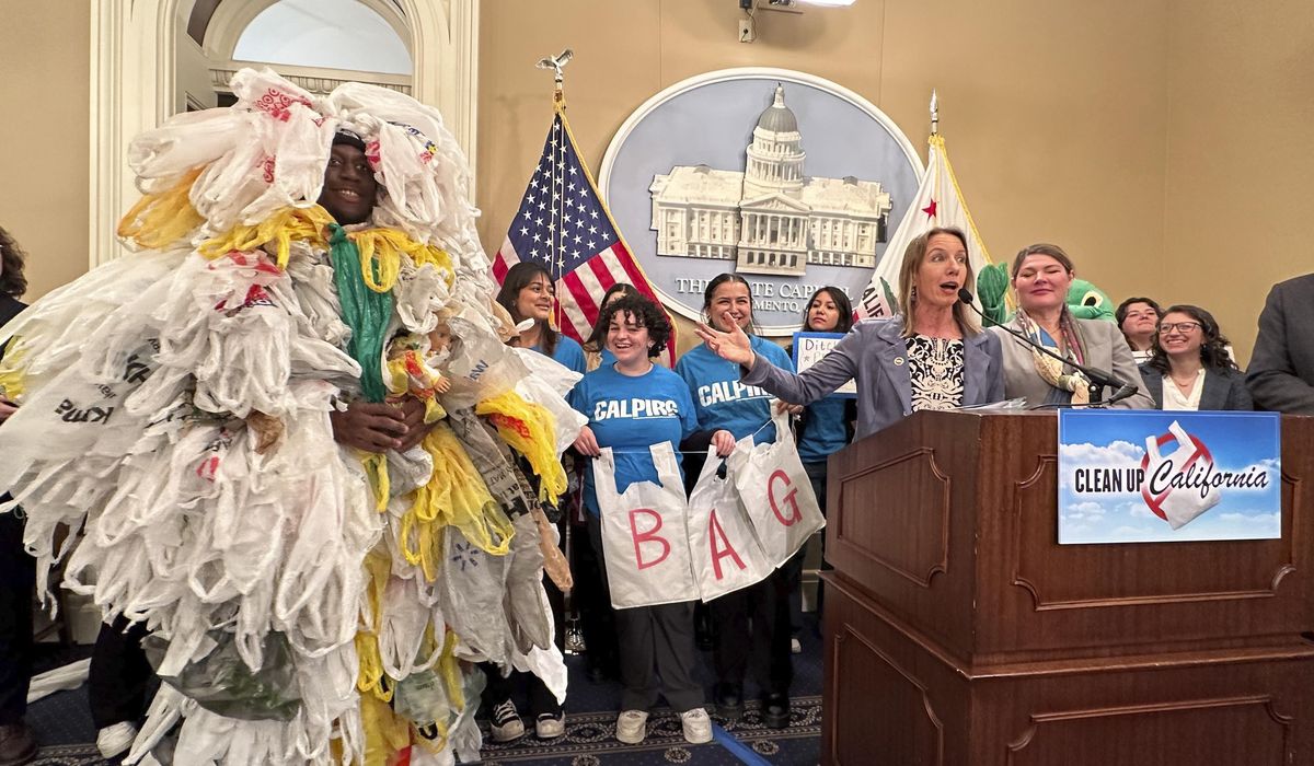 NextImg:California bill would ban all plastic shopping bags at grocery stores