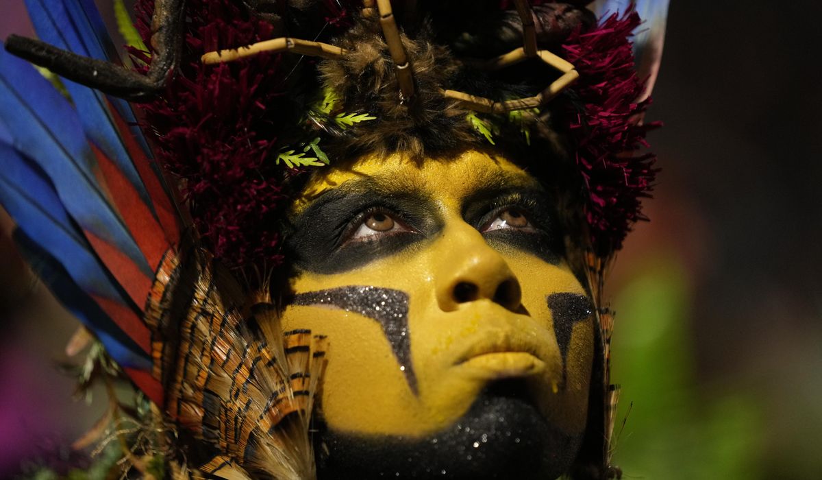 NextImg:Rio’s Carnival parade makes urgent plea to stop illegal mining in Indigenous lands