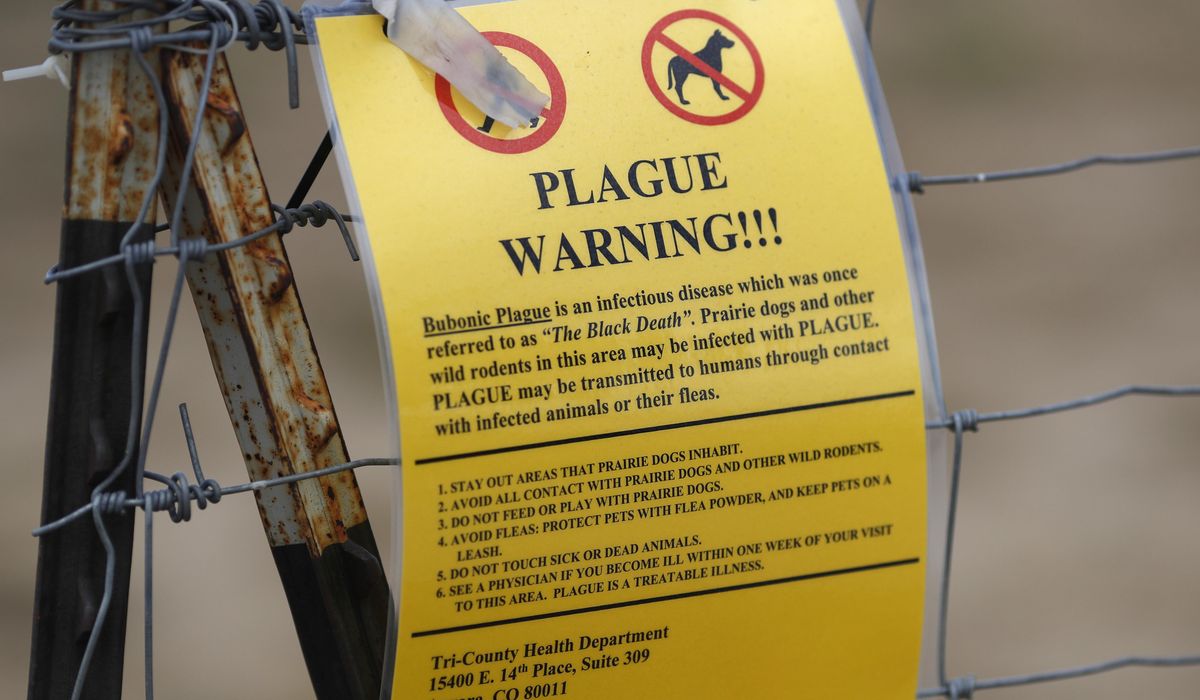 NextImg:Human case of plague, the historic Black Death, confirmed in Colorado