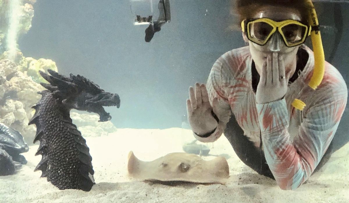NextImg:Charlotte, a stingray with no male companion, is pregnant in her mountain aquarium