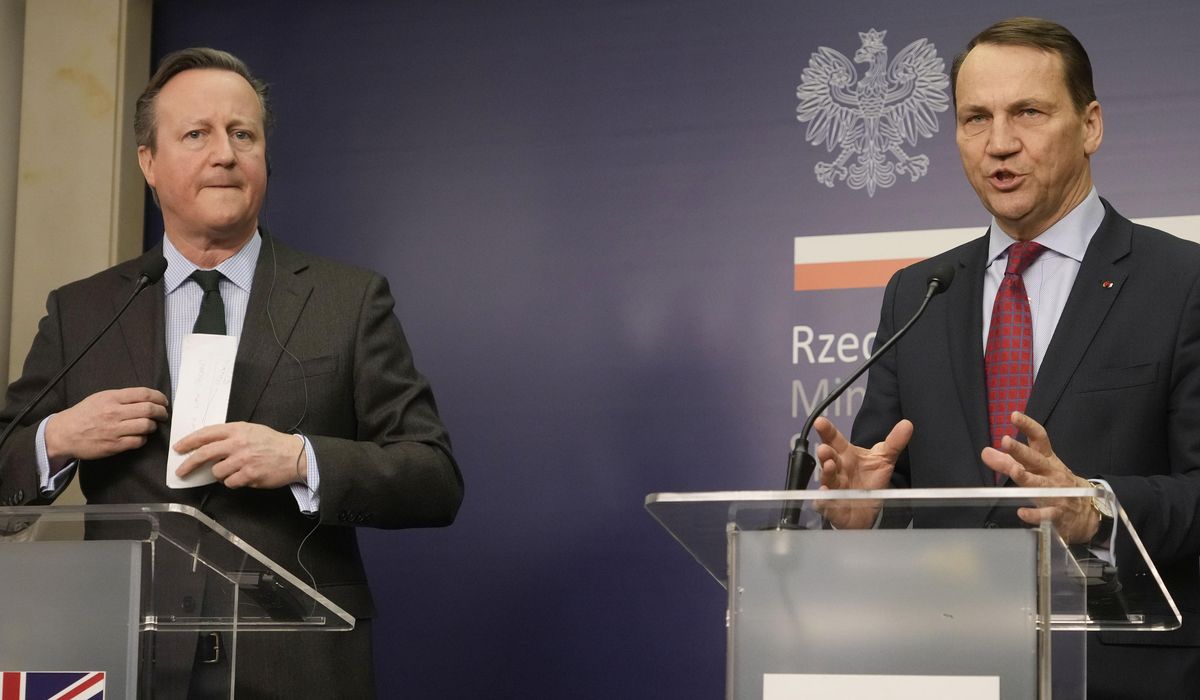 NextImg:Britain and Poland appeal to U.S. Congress to approve vital Ukraine aid package