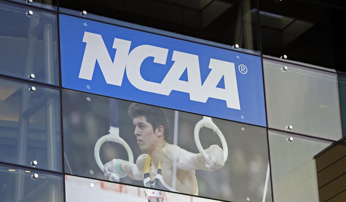 NextImg:NCAA accused of allowing loophole for transgender athletes with updated policy