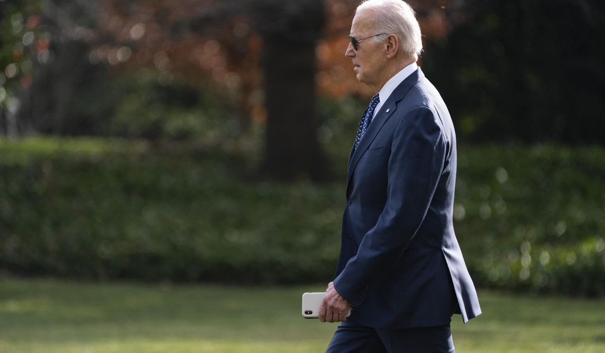 NextImg:Biden governing like a reluctant president