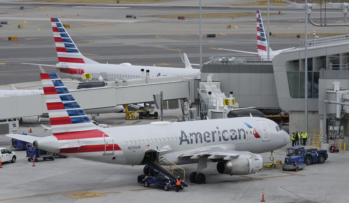 NextImg:American Airlines flight pulls U-turn after passenger tries opening exit door