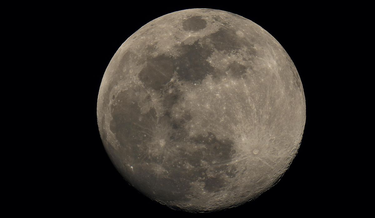 NextImg:NASA to send discs depicting ‘essence of humanity’ to the moon