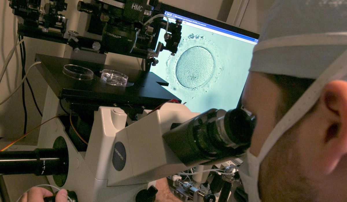 NextImg:Facing backlash over IVF ruling, Alabama lawmakers look for a fix