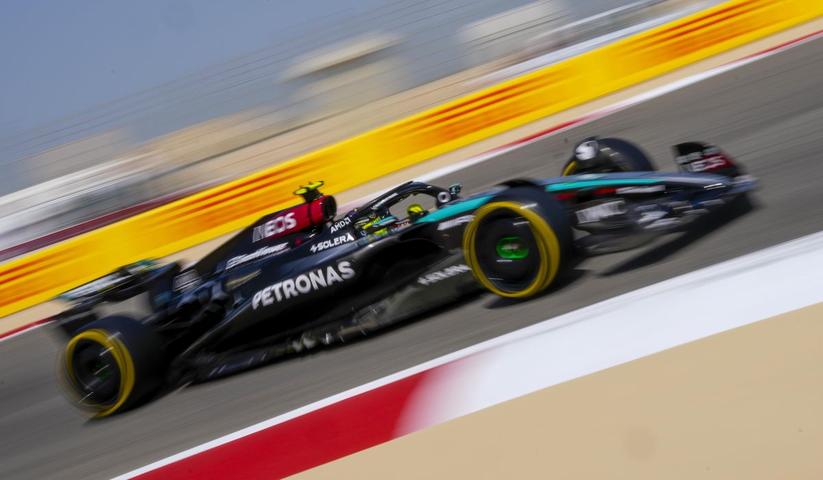 NextImg:Lewis Hamilton will stay focused on increasing diversity in F1 when he joins Ferrari next year