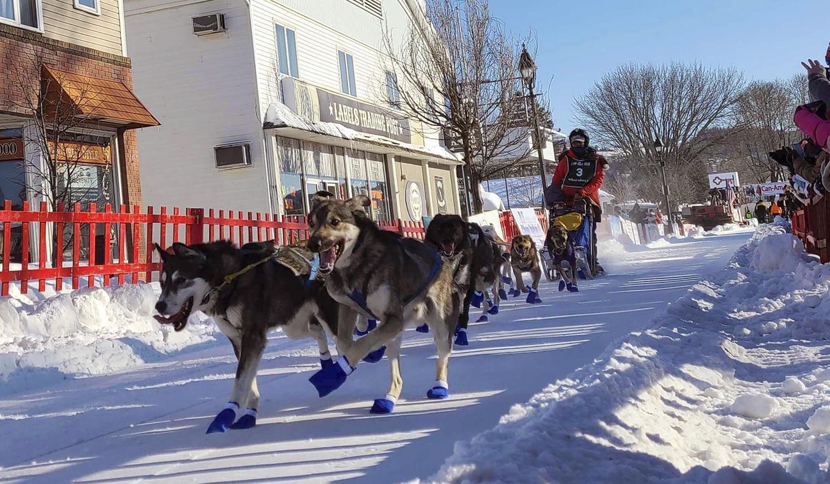 NextImg:Lack of snow cancels longest sled dog race in eastern United States