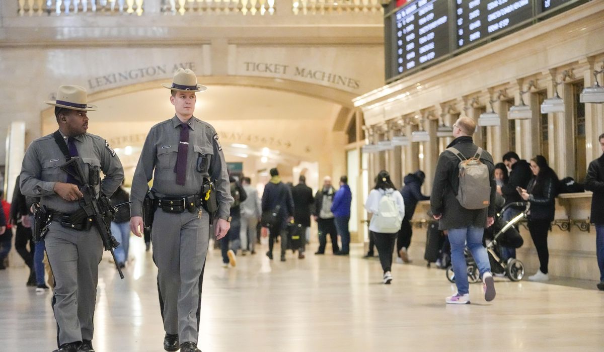NextImg:Vagrant charged with punching 9-year-old girl in NYC was out on bail for attacking woman