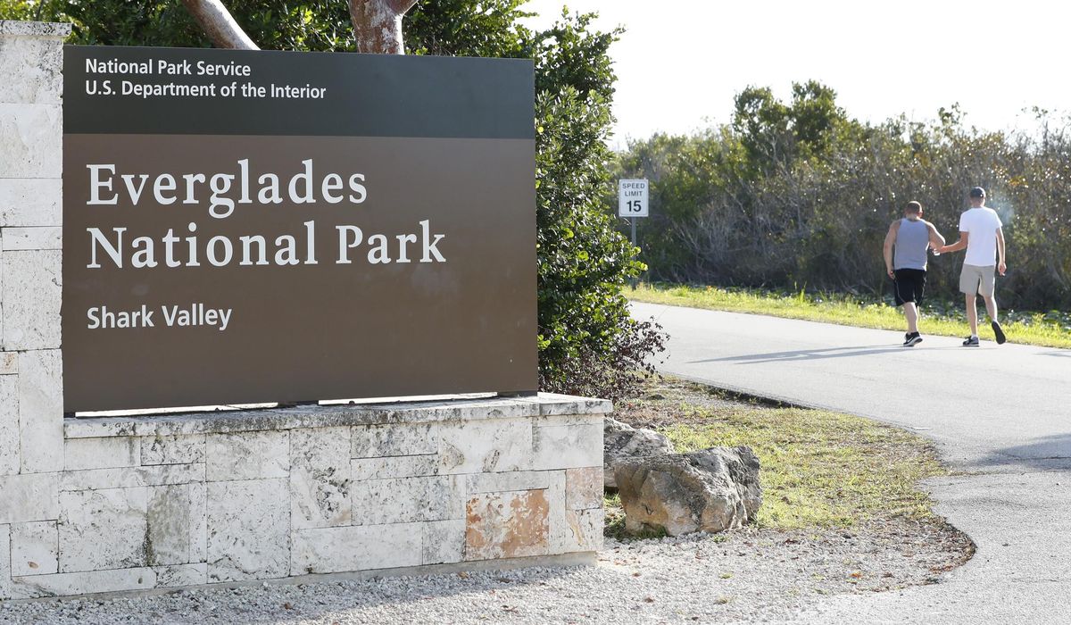 NextImg:Man bitten by crocodile in Florida Everglades after capsizing sailboat, falling in water